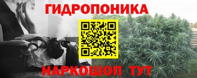 амф Тара