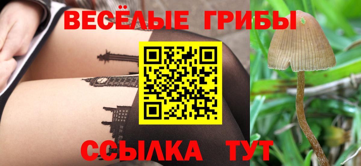 Галлюциногенные грибы прущие грибы Мурманск